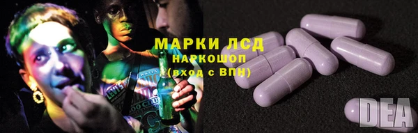 спайс Аркадак