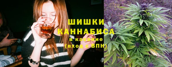 прущий лед Арсеньев