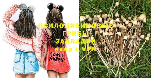 спайс Аркадак