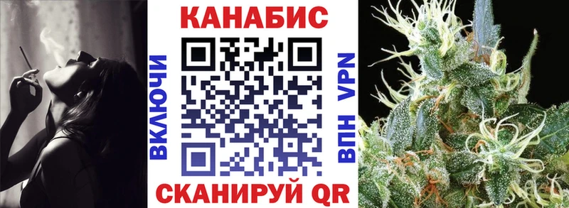 Конопля сатива  Луза 